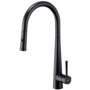 Vòi Rửa Bát Eurogold EVF118DR (EUF118DR)