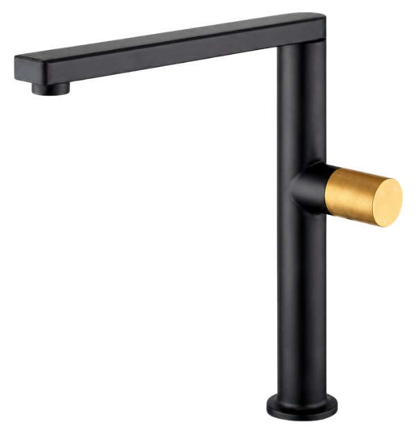 Vòi Rửa Bát Inox Eurogold EVF331D