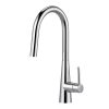 Vòi Rửa Bát Kluger KLF0009SC