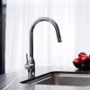 Vòi Rửa Bát NOBINOX AQUA NX660N - ảnh 2