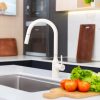 Vòi Rửa Bát NOBINOX AQUA NX661B - ảnh 2