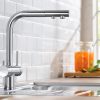 Vòi Rửa Blanco Fontas II Chrome - ảnh 2