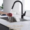 Vòi Rửa Chén Nóng Lạnh BASIC BK-68309B Đen - ảnh 2