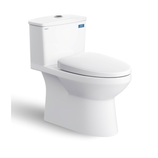 Bàn cầu một khối V811 + Xịt VG826