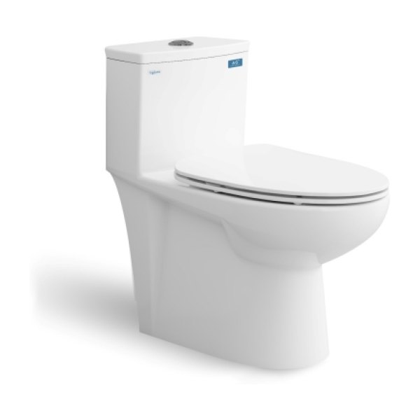 Bàn cầu một khối V819 + Xịt VG826