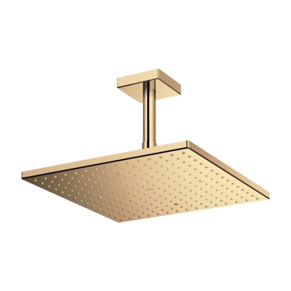 Bát sen TOTO TBW08003A#BFG gắn tường màu vàng pháp mờ