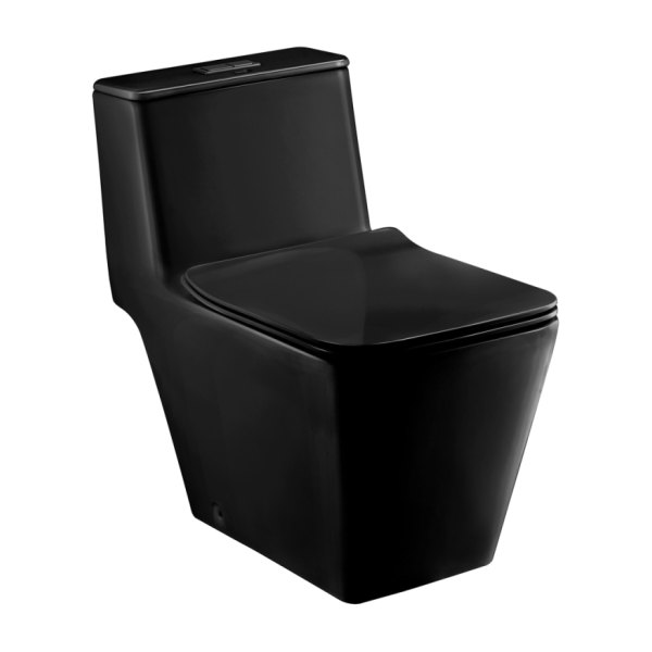 Bồn Cầu COTTO C1032 MBK 1 Khối Nắp Êm Màu Đen