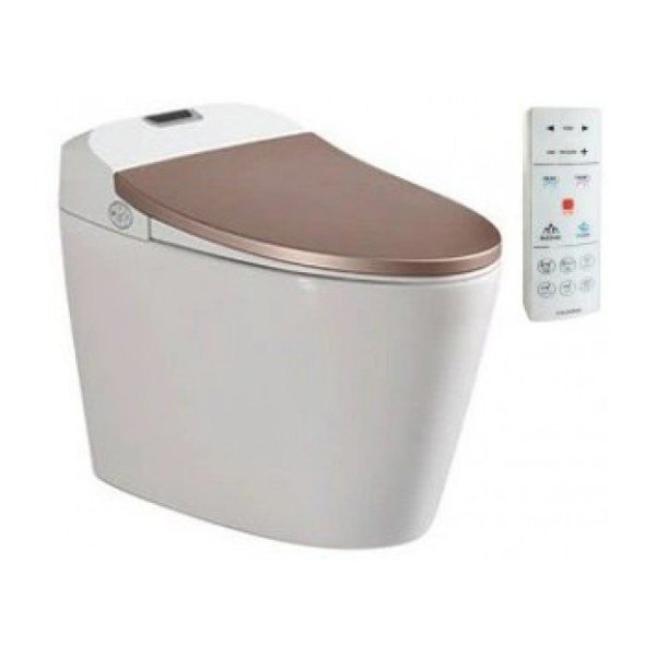 Bồn Cầu Thông Minh VIGLACERA V94.GW