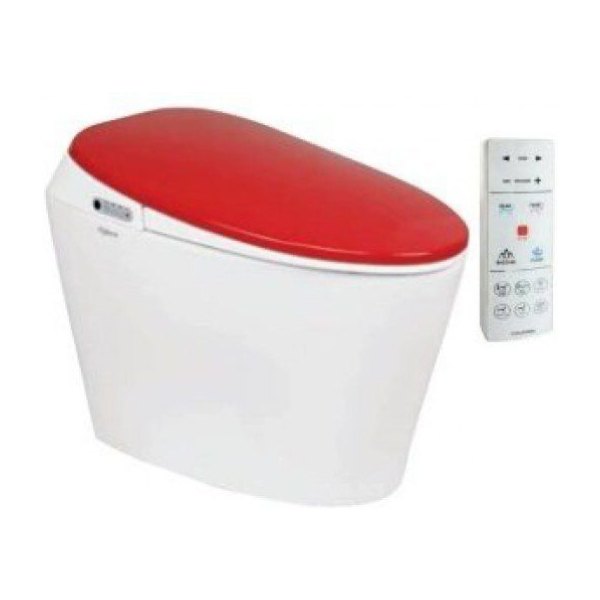 Bồn Cầu Thông Minh VIGLACERA V94R4