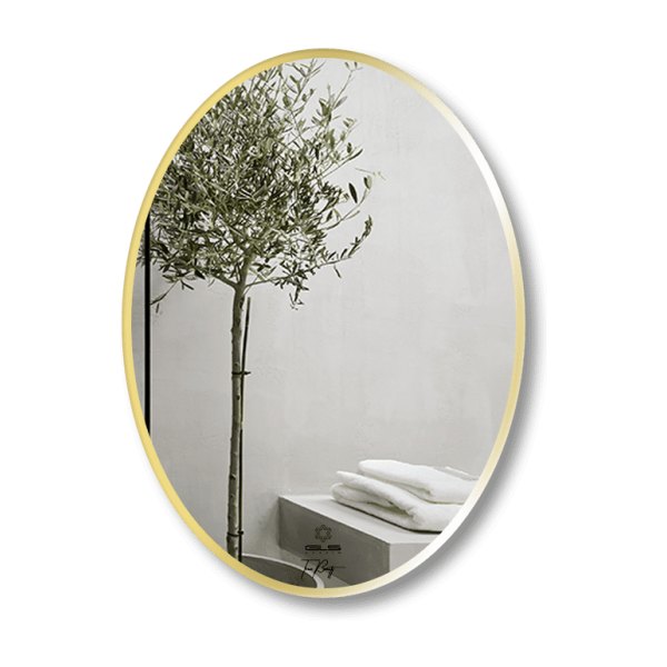 Gương GLS F11E30 Ellipes Viền Nhôm Đen Dòng F 50x70cm