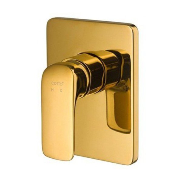 Sen Tắm Âm Tường COTTO CT2146A#GR Nóng Lạnh 1 Đường Nước