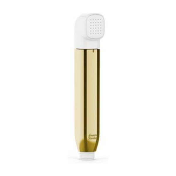 Vòi xịt vệ sinh American Standard WF-TS28CS